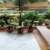 IMG-20160426-WA0015